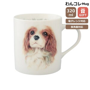 }OJbv LoA  Rbv R[q[ Jbv eB[Jbv  i` JtF hbOJtF R H { LoAObY G  v[g Mtg 