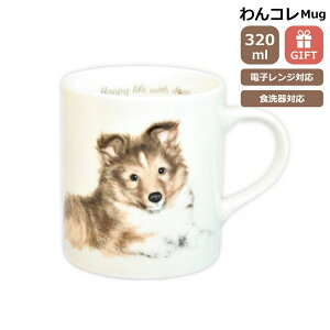 }OJbv VFeB[ R[  Rbv R[q[ Jbv eB[Jbv  i` JtF hbOJtF R H { VFeB[ObY G  v[