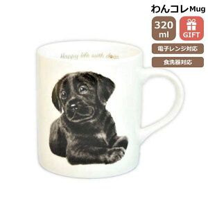 }OJbv uh[go[ u  Rbv R[q[ Jbv eB[Jbv  i` JtF hbOJtF R H { uh[ObY G 