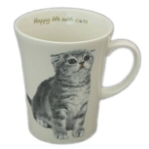 }OJbv L ˂ ɂR AJV[gwA V XReBbVtH[h `` LWg ~bNX lR ObY Mtg H   v[g LJtF i`