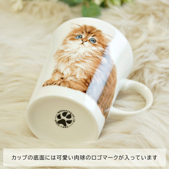 楽天市場 マグカップ 猫 ねこ にゃんコレ アメリカンショートヘア シャム スコティッシュフォールド チンチラ キジトラ ミックス ネコ グッズ ギフト 食器 陶器 お悔やみ プレゼント 猫カフェ ナチュラル お返し ルシアン バルーン アニマル雑貨 Le Chien