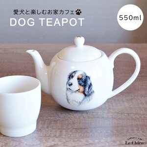 犬 バーニーズ マウンテンドッグ ティーポット 茶こし付き かわいい 急須 お茶 紅茶 ハーブティー 緑茶 (550ml) 1人用 2人用 おしゃれ 北欧風 シンプル お手入れ 一人暮らし 新生活 ギフト わん