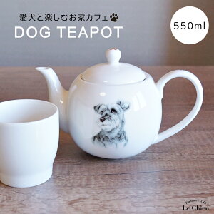  ViEU[ eB[|bg t 킢 }{  g n[ueB[ Β (550ml) 1lp 2lp  k Vv  l炵 V Mtg RyH