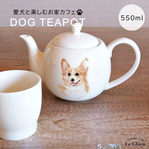  R[M[ eB[|bg t 킢 }{  g n[ueB[ Β (550ml) 1lp 2lp  k Vv  l炵 V Mtg RyH@
