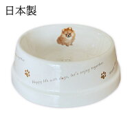 フードボウル 犬 ポメラニアン 日本製 陶器 食べやすい 餌 エサ 餌入れ エサ入れ エサいれ 皿 お皿 水飲…
