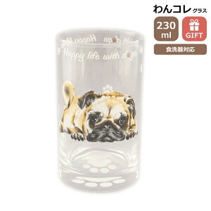 ^u[ OX pO  KX Rbv rAOX R H { pOObY G  v[g Mtg ̓ ̓ hV̓ Ԃ VA