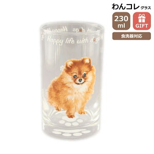 ^u[ OX |jA  KX Rbv rAOX R H { |jAObY G  v[g Mtg ̓ ̓ hV̓ Ԃ VA