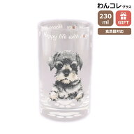 タンブラー グラス シュナウザー 犬 ガラス コップ ビアグラス わんコレ 食器 日本製 シュナウザーグッズ…