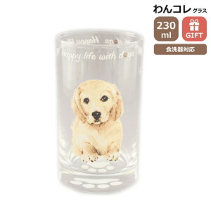 ^u[ OX S[fgo[  KX Rbv rAOX R H { S[fObY G  v[g Mtg ̓ ̓ hV̓ Ԃ VA