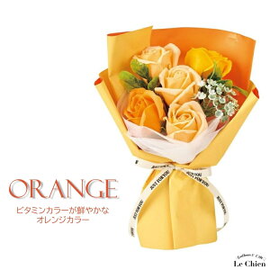 \[vt[ ԑ ̓ v[g Mtg ސE o  u[P a j Џj \ LO j ̓ ʉ  e   ޏ e o  