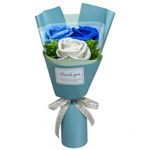 ̓ \[vt[ tFA[u[P Ǝ  j a 񎟉 \  j o   v[g Mtg ~ju[P v`Mtg ԑ ̍ C