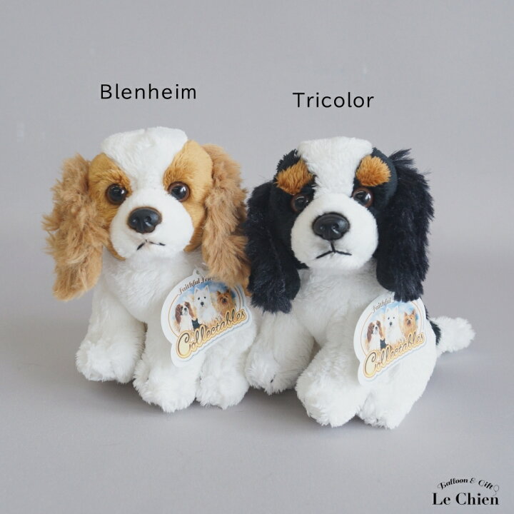 楽天市場 キャバリア ブレンハイム ぬいぐるみ 犬 リアル イヌ いぬ Faithful Friends Collectables 犬のぬいぐるみ 犬雑貨 誕生日 お祝い お悔やみ クリスマス プレゼント 可愛い 海外輸入品 輸入雑貨 ひっつぅ くん ジュニアサイズ 通販 楽天 ルシアン バルーン