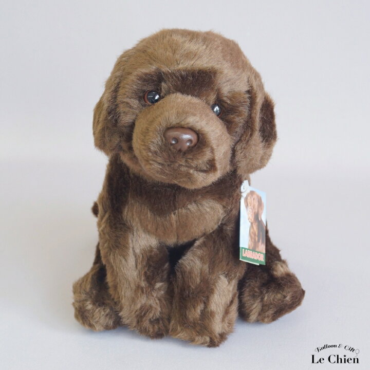 楽天市場】ラブラドールレトリバー ぬいぐるみ 犬 リアル チョコラブ 