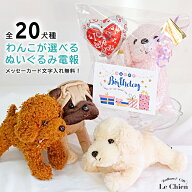 好きな犬のぬいぐるみ＋選べるバルーン 電報 おしゃれ メッセージカード付き 発表会 ぬいぐるみ 犬 誕生…