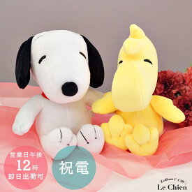 スヌーピー SNOOPY ウッドストック 電報 結婚式 おしゃれ ウェルカムドール ウェディングドール ぬいぐるみ 受付 人形 祝電 ラッピング メッセージカード無料 入籍祝い 結婚祝い 送料無料 ルシアン