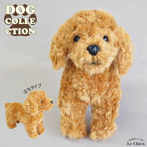  ʂ gCv[h A  gCv[ĥʂ ̂ʂ gCv[hObY  Gӂӂ G w ̎q av[g Mtg