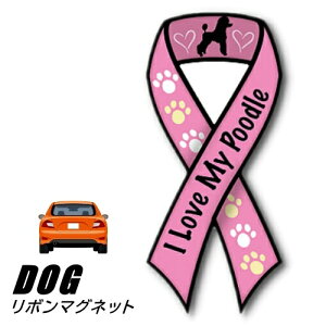 y[֑z{}Olbg From USA v[h 5 (̃J[}OlbgXebJ[ J[XebJ[ ObY G hbO 킢 }OlbgXebJ[ }OlbgV[ }Ol