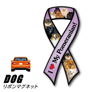 y[֑z{}Olbg From USA |jA 4 (̃J[}OlbgXebJ[ J[XebJ[ ObY G hbO 킢 }OlbgXebJ[ }OlbgV[ }