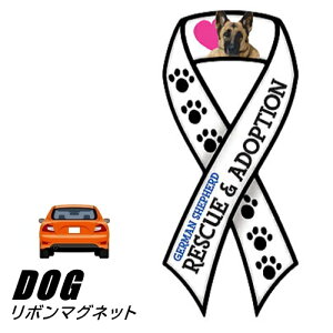 y[֑z{}Olbg From USA VFp[h 1(̃J[}OlbgXebJ[ J[XebJ[ ObY G hbO 킢 }OlbgXebJ[ }OlbgV[ }O