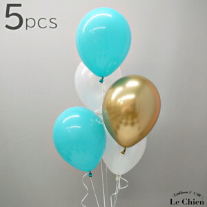 SD 5Zbg 28cm D p[eB[ o[ eBt@j[J[ eBt@j[u[ o[ i` x[W zCg NA S[h a o[Xf[ EGfBO 