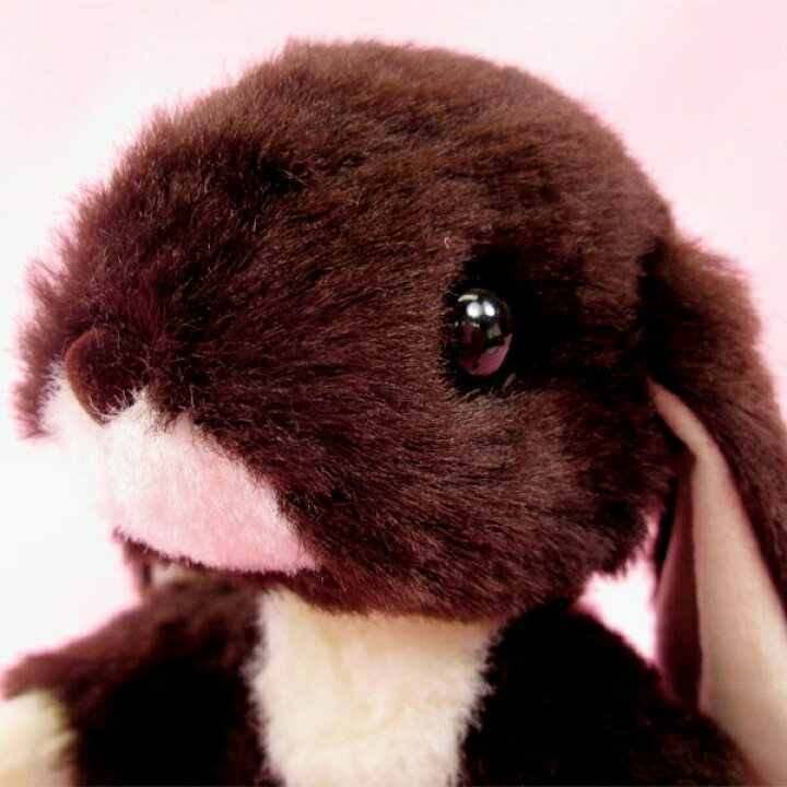 楽天市場】ロップイヤー うさぎ ぬいぐるみ ダークブラウン Sサイズ 
