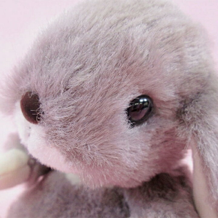 楽天市場 ロップイヤー うさぎ ぬいぐるみ グレー グレイ Sサイズ うさぎのぬいぐるみ スターチャイルド Starchild 日本製 ウサギ おもちゃ プレゼント ギフト 手触りなめらか バルーン アニマル雑貨 Le Chien