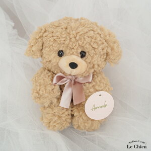 ʂ  gCv[h p_  A efBxA 킢 ӂӂ p_ObY }XRbg  NX}X a v[g qǂ ̎q