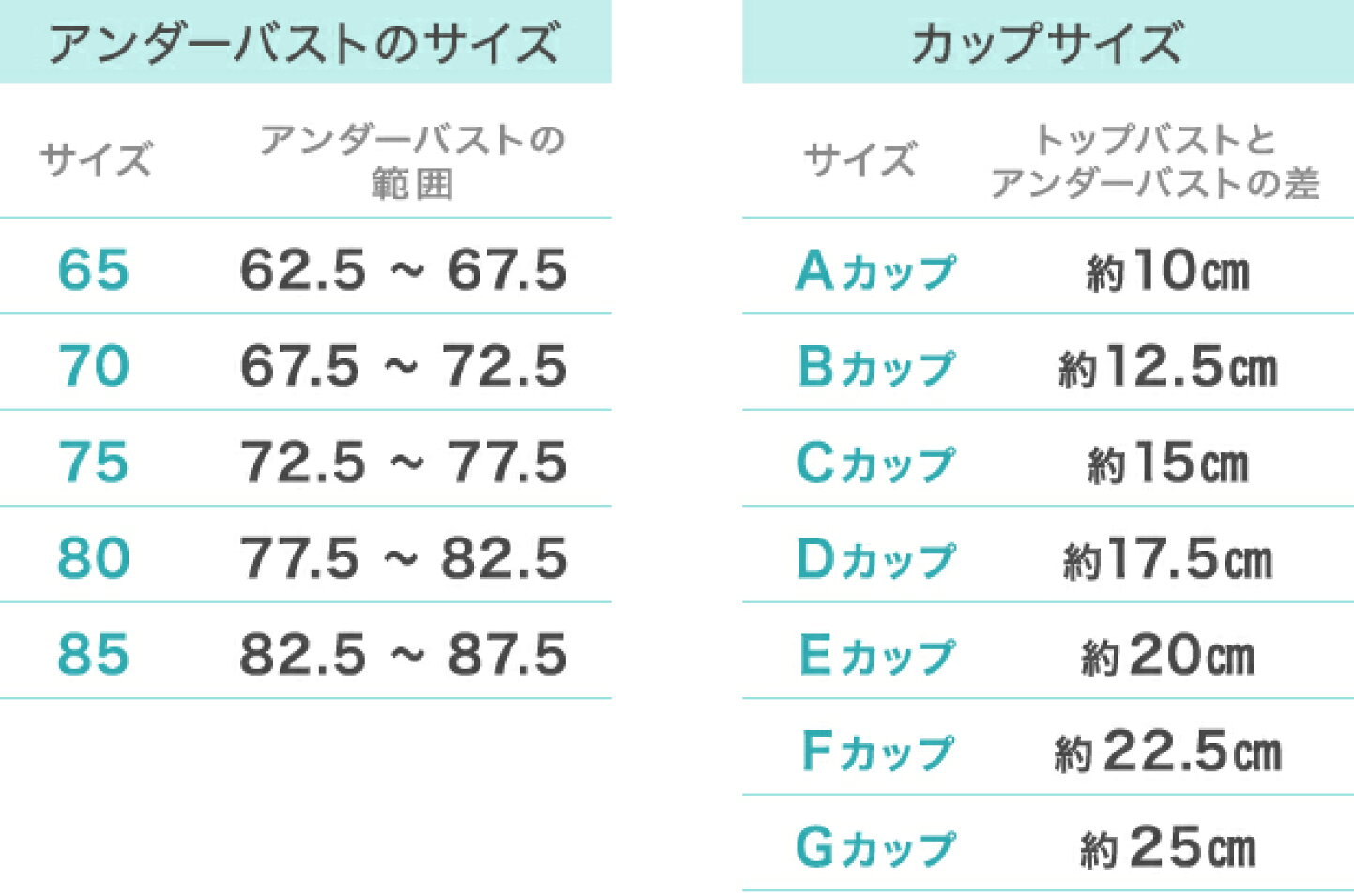 胸 カップ 数