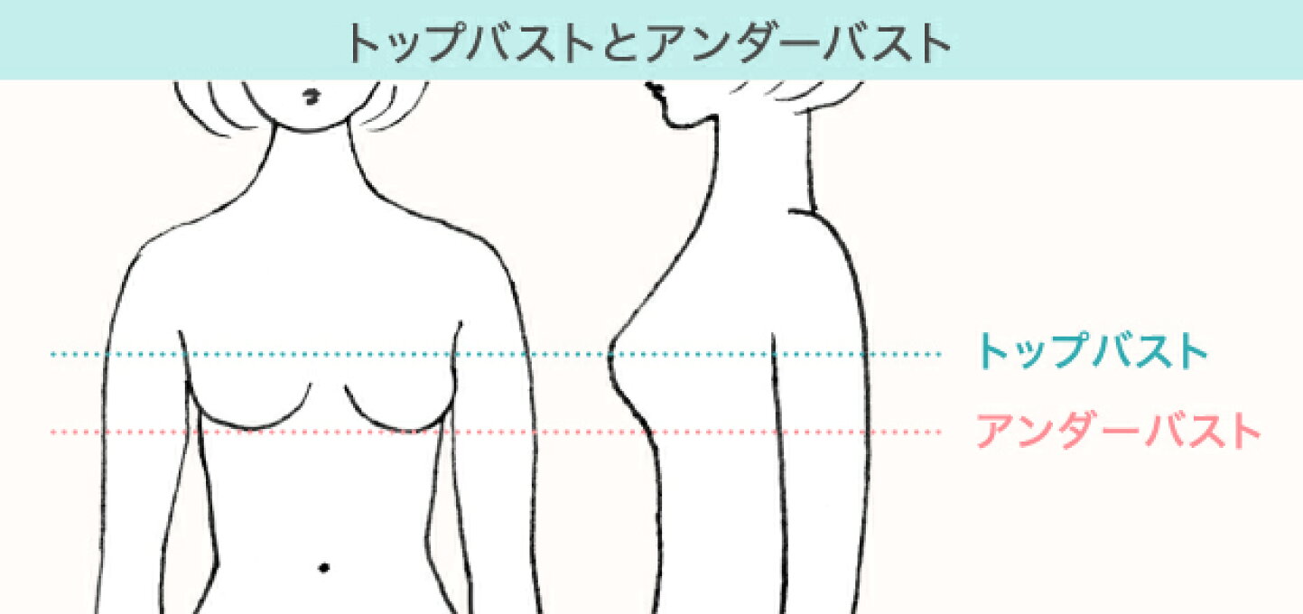 胸 サイズ 測り 方