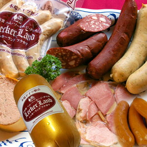 hCcO6ZbgE EΕE蕨 hCcnE\[Z[W