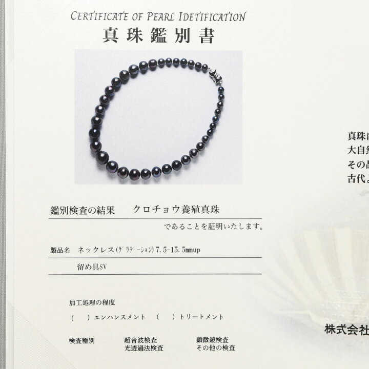 楽天市場】鑑別書付 15mm 黒蝶真珠 ネックレス 圧巻のボリューム  