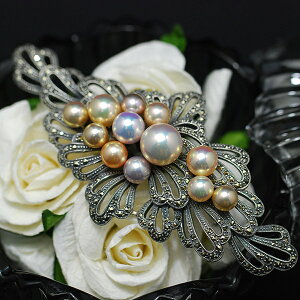 i`}`J[W^u[`@ɏ̋PFǂL IW^Ղ芬\@Eł̈ił@RR{ 206C0016-TY