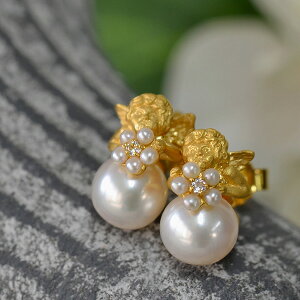 R@W^GWFsAX/CO kȍ׍H̏ȉVg ̂ĂĂ㎿p[