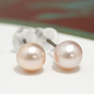 sN 5.5-6mm W^ sAX CO@͂Ȃl킢i`J[
