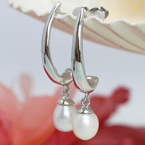 W^ O sAX@zCgp[ɗh KA66 BN388PR