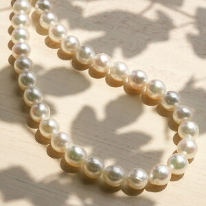 9-9.5mm  AR^ lbNX ӕʏt@F  tH[}