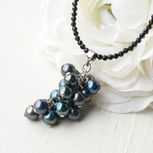 _[NJ[ AR^ y_ggbv ubNXsllbNX Zbg@Ɏp[̕