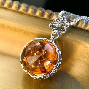 R Ao[ y_ggbv@J[uE RƂ₩߂݂݂NVJfUC@RP 202P0645-TY-2