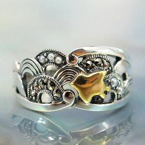 R Cg璹@Vo[O@VbNłƉȘafUC@RP 704R0020-GP