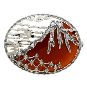 R Ԃ߂̂ ԕxm u[`y_g@VbNȘãfUC J[lA  bhAQ[g@RP 204C1323-CNF