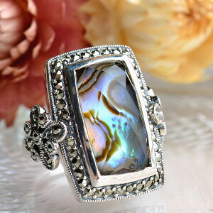 R AoNH[c O@؂₩ȍEFɃNX^̂߂ RP 202R0309