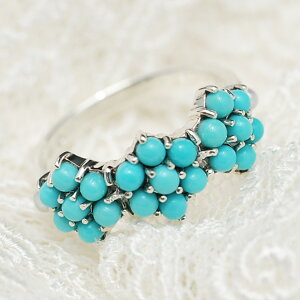 ��R �^�[�R�C�Y �V�[�h�p�[�� �����O�@�u�₩�ȃu���[���s���b�ƌ��� ���ȃt�����[���`�[�t�̃A���e�B�[�N�X�^�C�� RP 204R0465-TQ