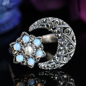 R Ip[ Ɛ  tH[NO@Ip[̌zIȋP RP 403R0257