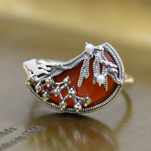 R Ԃ߂̂ ԕxm O@VbNȘãfUC J[lA  bhAQ[g@RP 204R1015-CNF