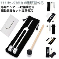 加重音叉 432 128 136.1 174 瞑想用品 528 512 振動音叉 256 音叉 Hz 医療用加重バイオソニック音叉 医療…