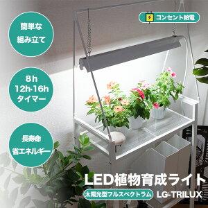 LEDA琬Cg 琬Cg  A琬 A͔| e[uO[v ^C}[ LG-TRILUX r[ebN