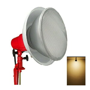 LED電球付き クランプライト E39 屋外用 作業灯 投光器 照明 業務用 オフィス 工場 現場 作業用 ライト クランプライト ワークライト ClampPar56-LDR52