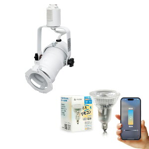 _Ng[ X|bgCg Ɩ Cg [Cg E11 LEDdt 50W  38x  F  F Cg Alexa  Matter Echo X}zΉ