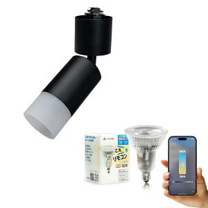 _Ng[ X|bgCg Ɩ Cg [Cg E11 LEDdt 50W  38x  F  F Cg Alexa  Matter Echo X}zΉ