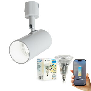 _Ng[ X|bgCg Ɩ Cg [Cg E11 LEDdt 50W  38x  F  F Cg Alexa  Matter Echo X}zΉ